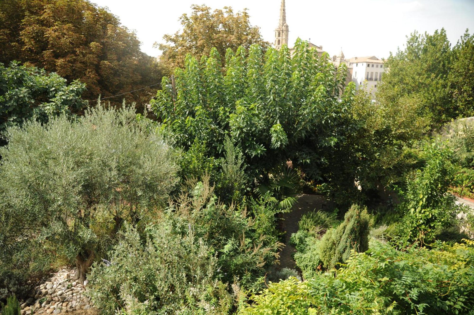 Riverside Gardens Villa Limoux